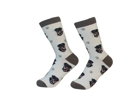 Rottweiler Sock Daddy Socks One Size Fits Most Cheap