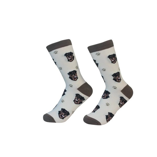 Rottweiler Sock Daddy Socks One Size Fits Most Cheap