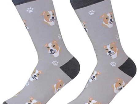 Pit Bull Sock Daddy Socks One Size Fits Most on Sale