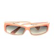 Cinzia Beachy Fully Magnified Reading Sunglasses in Two Colors For Sale