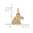 14K Gold Plated Silver Delta Gamma XS (Tiny) Greek Letters Charm Fashion